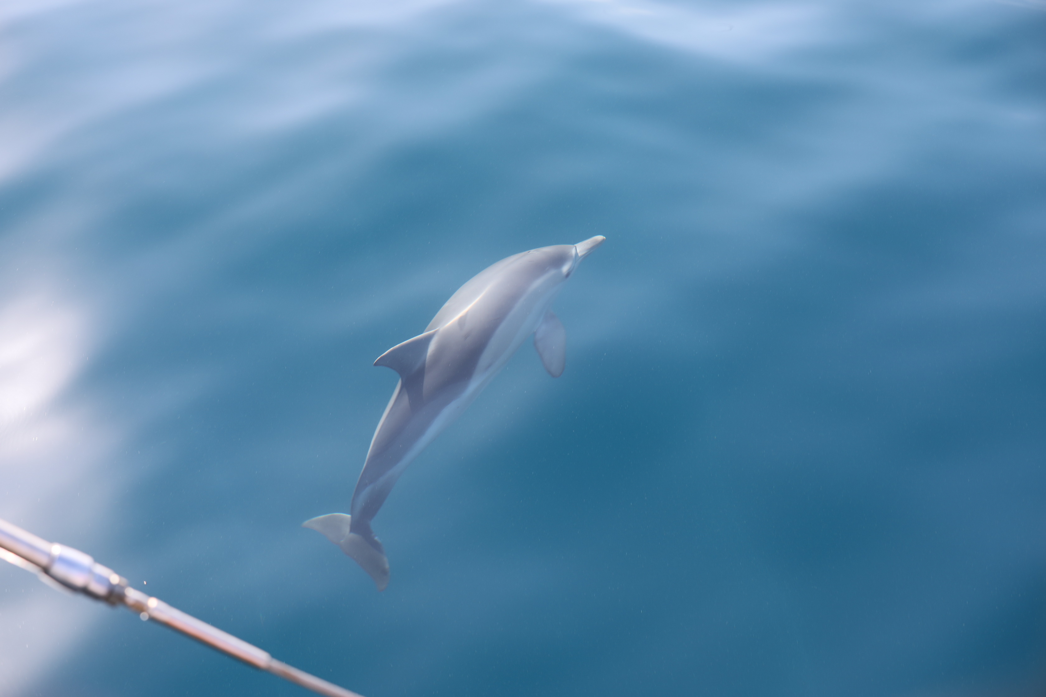 2019 12 07 08 39 45 Canon EOS 5D Mark IV 0008